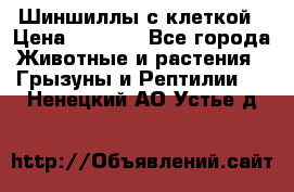 Шиншиллы с клеткой › Цена ­ 8 000 - Все города Животные и растения » Грызуны и Рептилии   . Ненецкий АО,Устье д.